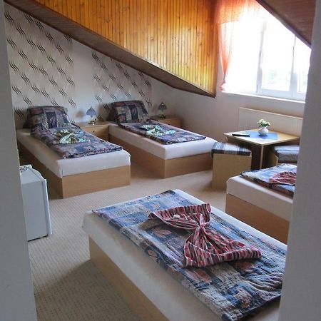 Pension U Vlasku Karlovy Vary Room photo